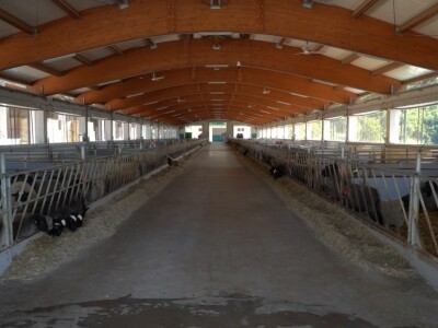 Farma ovaca "Hacienda de la Vida"