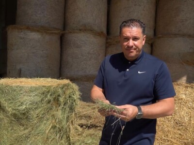 Farma ovaca "Hacienda de la Vida"