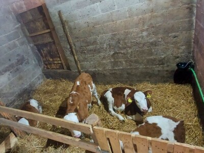 Farma "Pađan" najavila gašenje u maju
