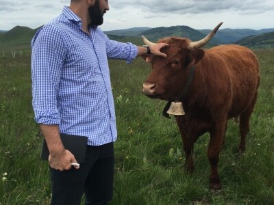 FARMA PODHUM, centar izvrsnosti organskog uzgoja goveda pasmine salers