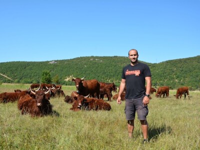 FARMA PODHUM, centar izvrsnosti organskog uzgoja goveda pasmine salers