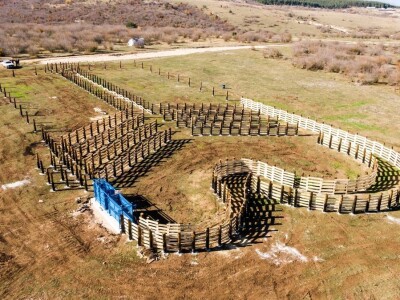 FARMA PODHUM, centar izvrsnosti organskog uzgoja goveda pasmine salers