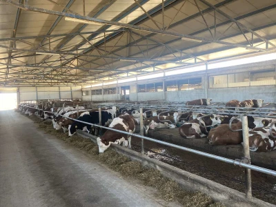 Farma Posušje