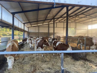 Farma Posušje
