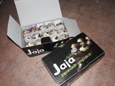 Farma prepelica Šijan Farma prepelica Šijan