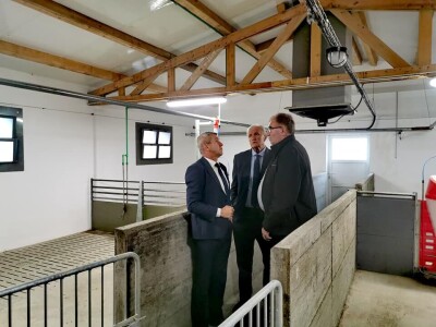 Farma rasplodnih krmača i tovnih svinja OPG Čolakovac-Mijić