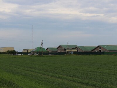 Farma Rosta, Rusija Farma Rosta, Rusija