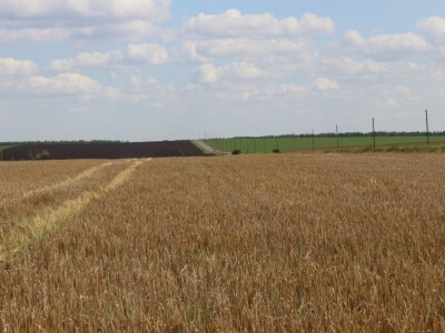Farma Rosta, Rusija Farma Rosta, Rusija