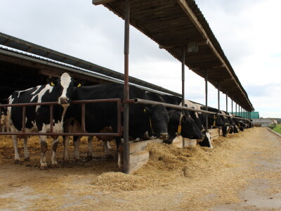 Farma Salaš u Marijancima