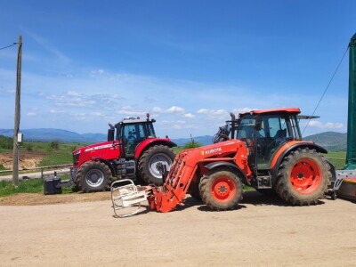 Farma sretnih krava na Krbavskom polju