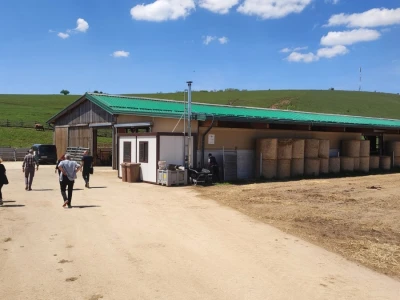 Farma sretnih krava na Krbavskom polju