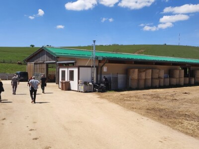 Farma sretnih krava na Krbavskom polju