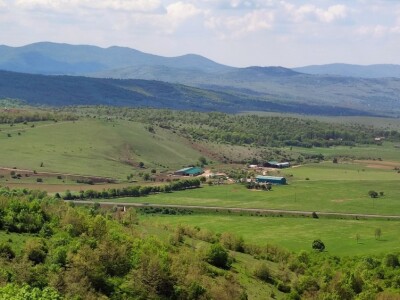 Farma sretnih krava na Krbavskom polju