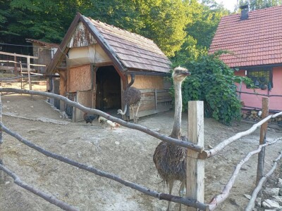 Farma u Smetovima kod Zenice