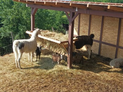 Farma u Smetovima kod Zenice