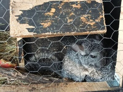 Farma u Smetovima kod Zenice