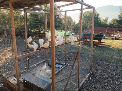 Farma u Smetovima kod Zenice