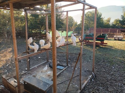 Farma u Smetovima kod Zenice