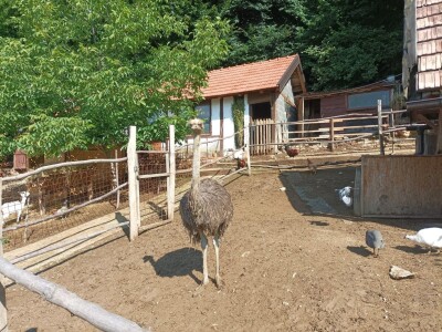 Farma u Smetovima kod Zenice