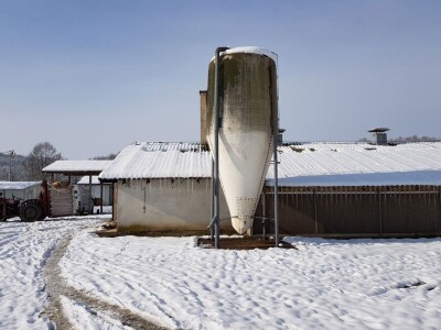 Farma Velibora Popovića proizvešće 4,5 miliona rasplodnih jaja
