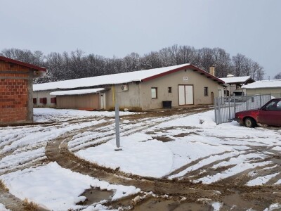 Farma Velibora Popovića proizvešće 4,5 miliona rasplodnih jaja