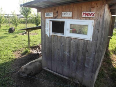 Farma za uzgoj voća i zabavu