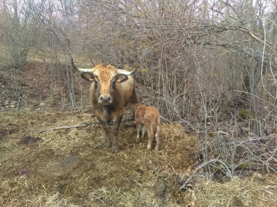 Farma Mladena Kušekovića Farma Mladena Kušekovića