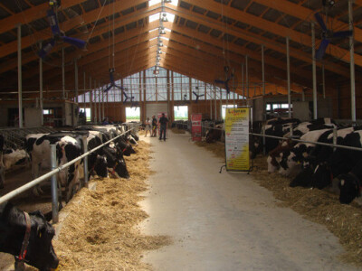 Dani otvorenih vrata na farmi muznih krava Landia