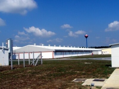 Suvremena beljska farma