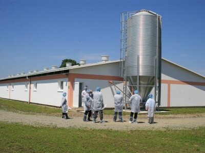 Otvorenje svinjogojske farme Kadić i Janković - Belje