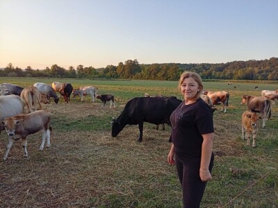 Farme buša, nubijske koze