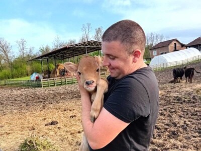 Farme buša, nubijske koze