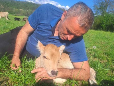 Farme buša, nubijske koze