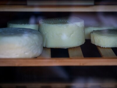 Farme buša, nubijske koze