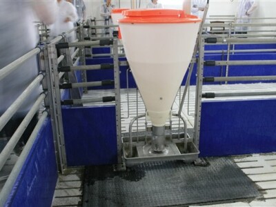 Otvorenje svinjogojske farme Kadić i Janković - Belje