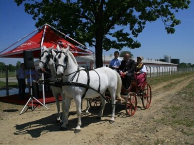 Otvorenje svinjogojske farme Kadić i Janković - Belje