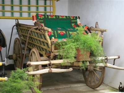 Otvorenje svinjogojske farme Kadić i Janković - Belje