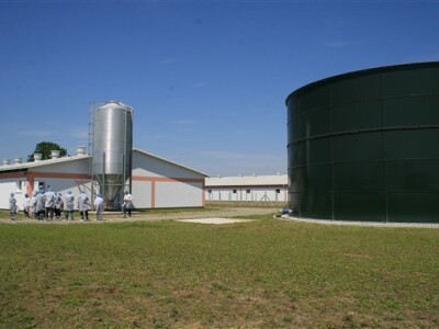 Otvorenje svinjogojske farme Kadić i Janković - Belje