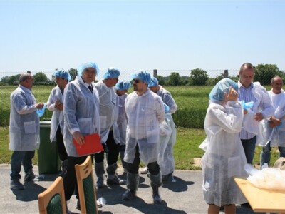 Otvorenje svinjogojske farme Kadić i Janković - Belje