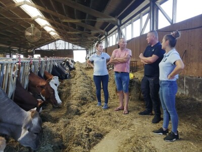Farmer Marijan Hartman u Svetom Ivanu Žabnom uzgaja 250 grla stoke
