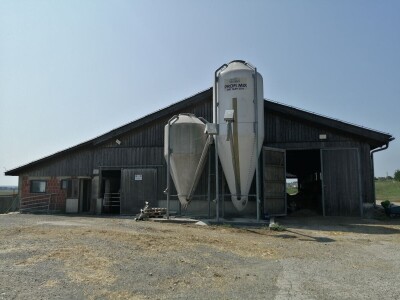 Farmer Marijan Hartman u Svetom Ivanu Žabnom uzgaja 250 grla stoke
