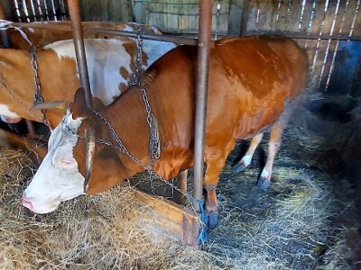 Farmeri iz prnjavorske opštine Farmeri iz prnjavorske opštine