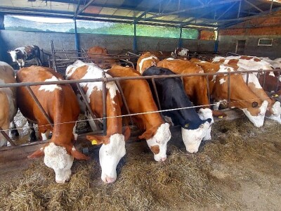 Farmeri iz prnjavorske opštine Farmeri iz prnjavorske opštine