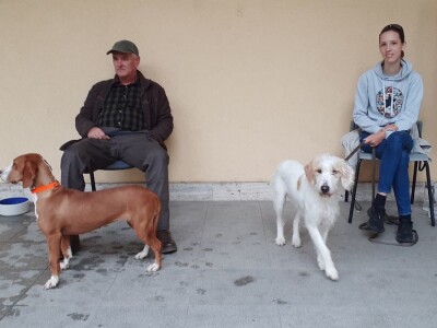 Farmica - autohtone životinje Farmica - autohtone životinje