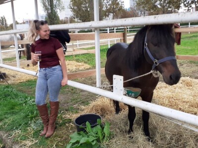 Farmica - autohtone životinje Farmica - autohtone životinje
