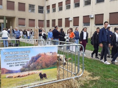 Farmica - autohtone životinje Farmica - autohtone životinje
