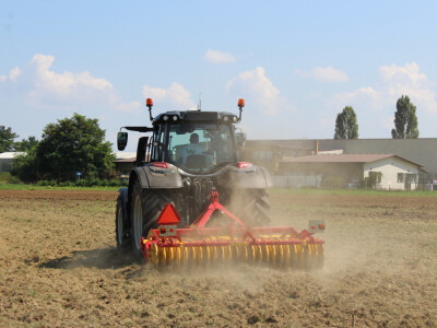 Kratka tanjurača Vaderstad