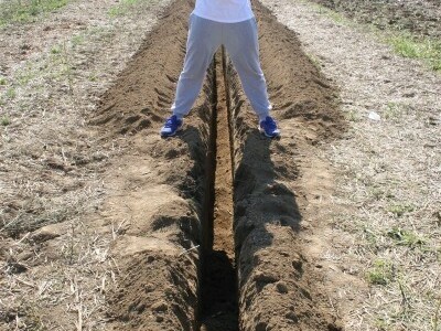Redar Bojan provjerava jesu li dobro napravili brazdu