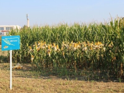 Dekalb na FarmShow 2015 Dekalb na FarmShow 2015