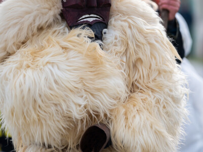 Fašange - najveće pokladno slavlje u Baranji Fašange - najveće pokladno slavlje u Baranji